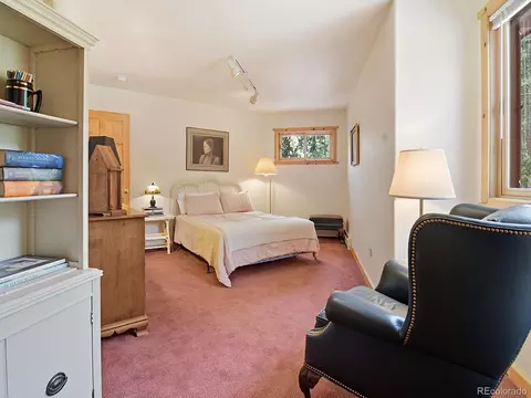 Bedroom - 1407 Delwood Dr, Bailey, CO 80421 photo 6 of 6