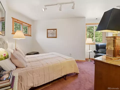 Bedroom - 1407 Delwood Dr, Bailey, CO 80421 photo 5 of 6
