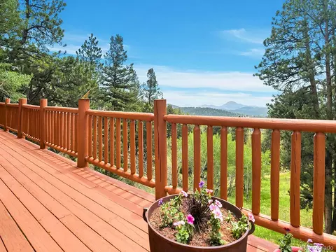 Exterior - 1407 Delwood Dr, Bailey, CO 80421 photo 6 of 9