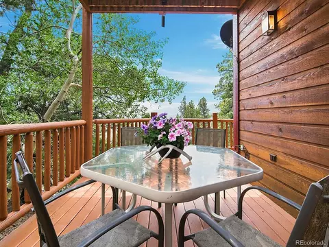 Exterior - 1407 Delwood Dr, Bailey, CO 80421 photo 4 of 9