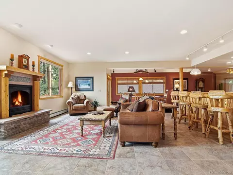 Living - 1407 Delwood Dr, Bailey, CO 80421 photo 1 of 3