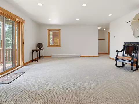 Living - 1407 Delwood Dr, Bailey, CO 80421 photo 3 of 3