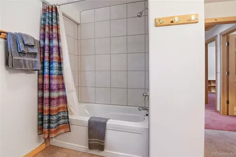 Bath - 1407 Delwood Dr, Bailey, CO 80421 photo 4 of 5