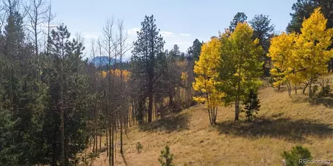 1734 May Queen Dr, Cripple Creek, CO 80813