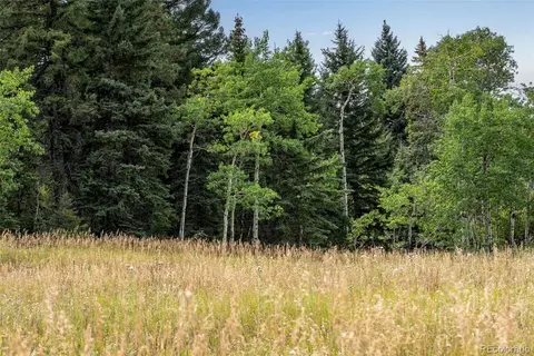 Other - 25257 Snyder Ave, Conifer, CO 80433 photo 6 of 10