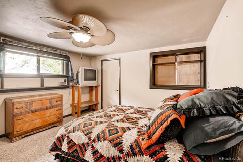 233 Spring St, Morrison, CO 80465 photo 13