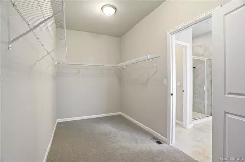 Other - 1821 Thrive Dr, Windsor, CO 80550 photo 6 of 8