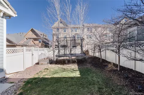 10286 Greentrail Cir, Lone Tree, CO 80124 photo 34