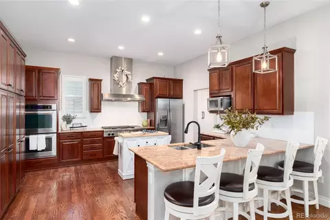 10286 Greentrail Cir, Lone Tree, CO 80124 photo 8