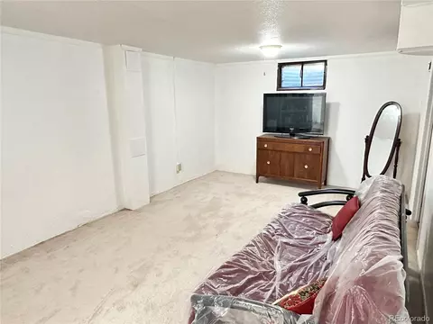 8510 Faraday St, Denver, CO 80229 photo 18