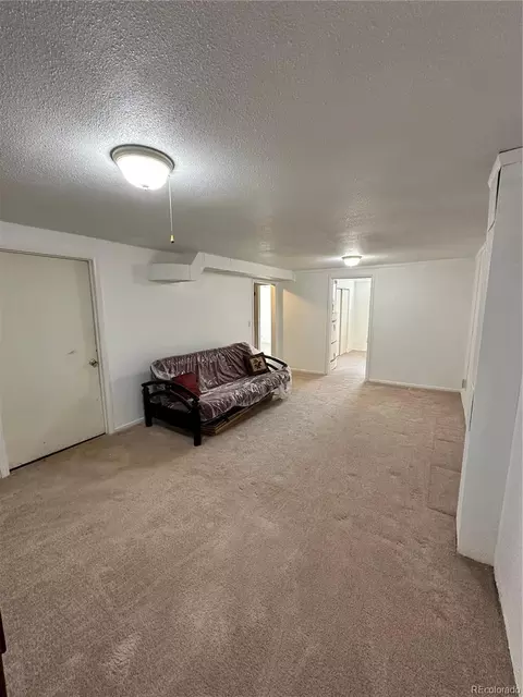 8510 Faraday St, Denver, CO 80229 photo 19