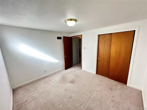 8510 Faraday St, Denver, CO 80229 photo 16