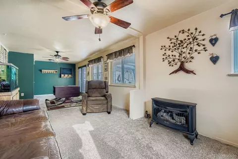 8510 Faraday St, Denver, CO 80229 photo 9