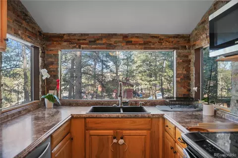 133 Crestview Ln, Bailey, CO 80421 photo 10