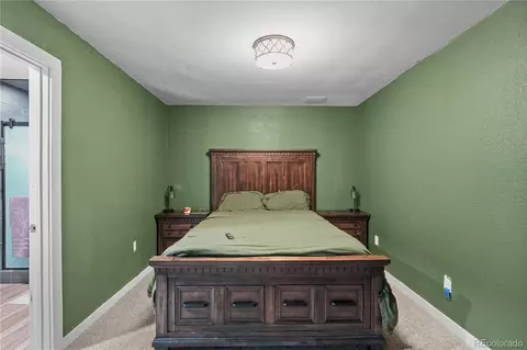 133 Crestview Ln, Bailey, CO 80421 photo 24