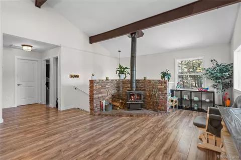 133 Crestview Ln, Bailey, CO 80421 photo 5