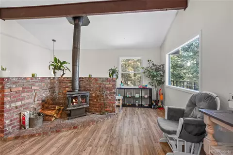 133 Crestview Ln, Bailey, CO 80421 photo 4