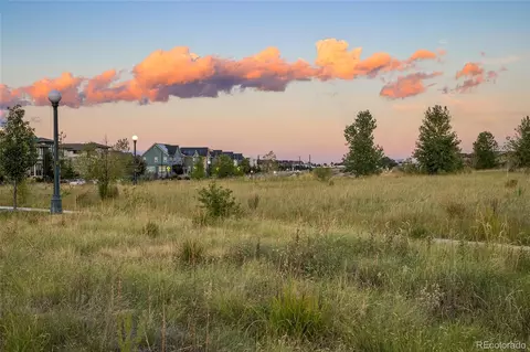 8526 E 51st Ave, Denver, CO 80238 photo 40