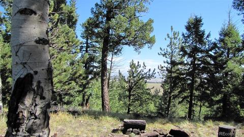 1658 Blacksmith Rd, Hartsel, CO 80449 photo 8