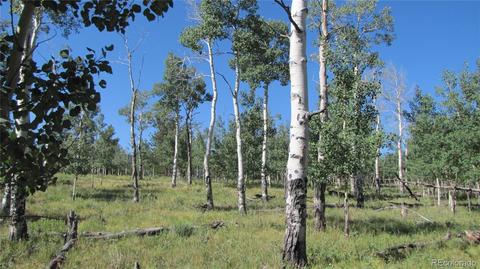 1658 Blacksmith Rd, Hartsel, CO 80449 photo 9