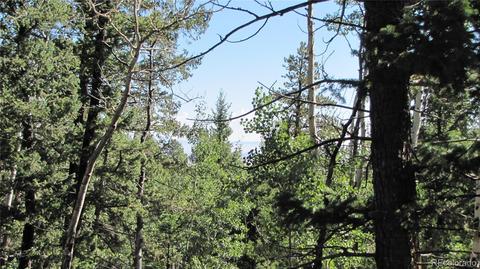 1658 Blacksmith Rd, Hartsel, CO 80449 photo 16