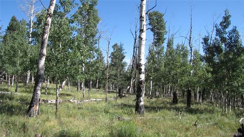 1658 Blacksmith Rd, Hartsel, CO 80449 photo 11