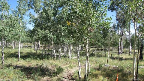 1658 Blacksmith Rd, Hartsel, CO 80449 photo 12