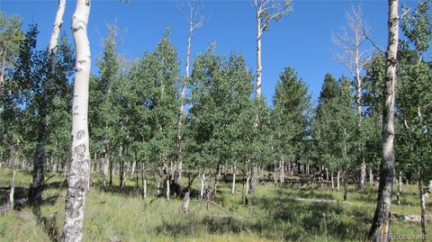 1658 Blacksmith Rd, Hartsel, CO 80449 photo 10