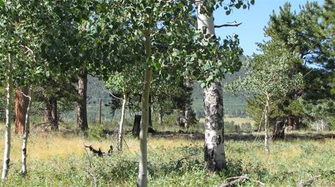 1658 Blacksmith Rd, Hartsel, CO 80449 photo 14