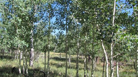 1658 Blacksmith Rd, Hartsel, CO 80449 photo 13