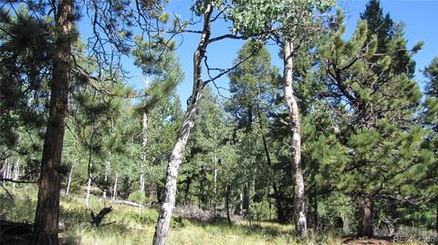 1658 Blacksmith Rd, Hartsel, CO 80449 photo 7