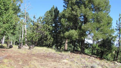 1658 Blacksmith Rd, Hartsel, CO 80449 photo 4