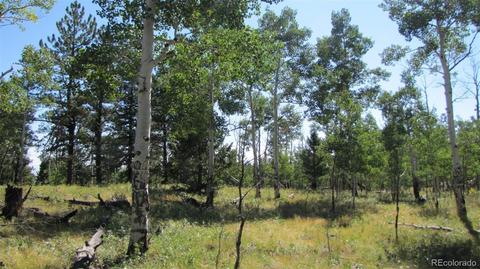 1658 Blacksmith Rd, Hartsel, CO 80449 photo 15