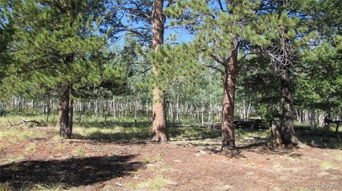 1658 Blacksmith Rd, Hartsel, CO 80449 photo 6