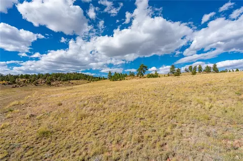 Dog Chief Trail, Hartsel, CO 80449