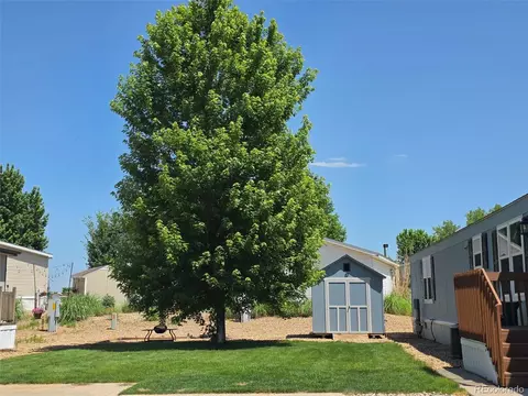 4785 Audrey St, Longmont, CO 80504 photo 10