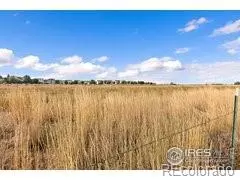 4785 Audrey St, Longmont, CO 80504 photo 50