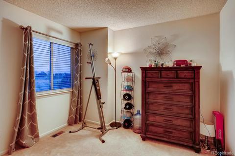 21518 E 38th Pl, Denver, CO 80249 photo 20