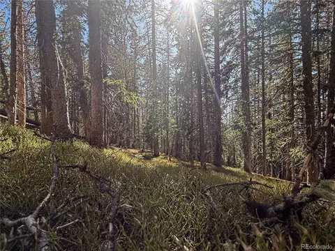 lot6530 Schluetter Rd, Fort Garland, CO 81133