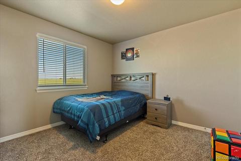 1287 Baker Pass St, Windsor, CO 80550 photo 19