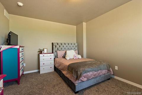 1287 Baker Pass St, Windsor, CO 80550 photo 16