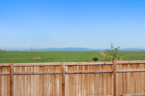 1287 Baker Pass St, Windsor, CO 80550 photo 25