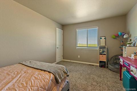 1287 Baker Pass St, Windsor, CO 80550 photo 17