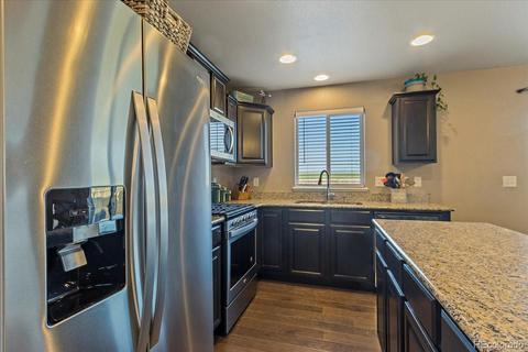1287 Baker Pass St, Windsor, CO 80550 photo 10