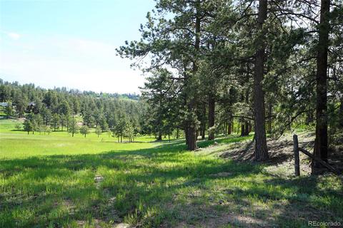 412 Pinon Rd, Bailey, CO 80421 photo 32