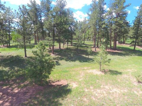 412 Pinon Rd, Bailey, CO 80421 photo 38