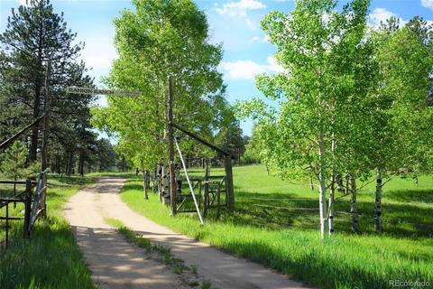 412 Pinon Rd, Bailey, CO 80421 photo 4