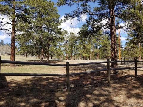 412 Pinon Rd, Bailey, CO 80421 photo 30