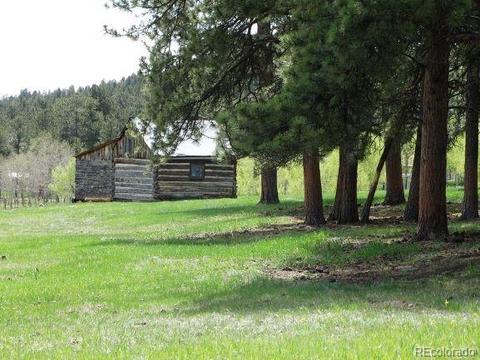 412 Pinon Rd, Bailey, CO 80421 photo 27