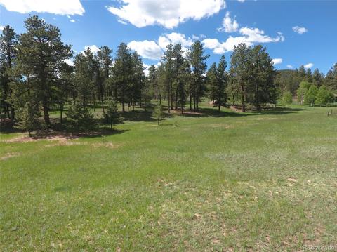 412 Pinon Rd, Bailey, CO 80421 photo 28